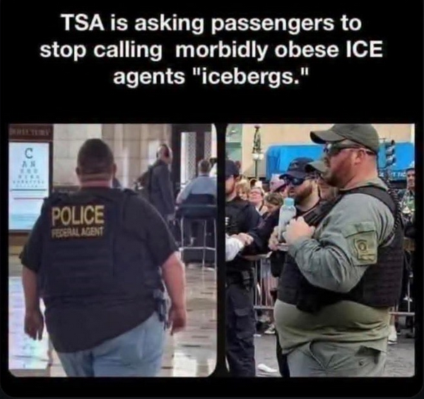 Nomadic Soul tweet media