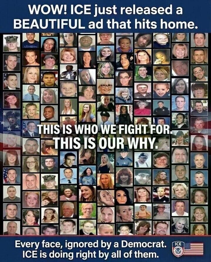 David M Delia tweet media