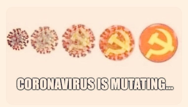 @SoTruth507 tweet media