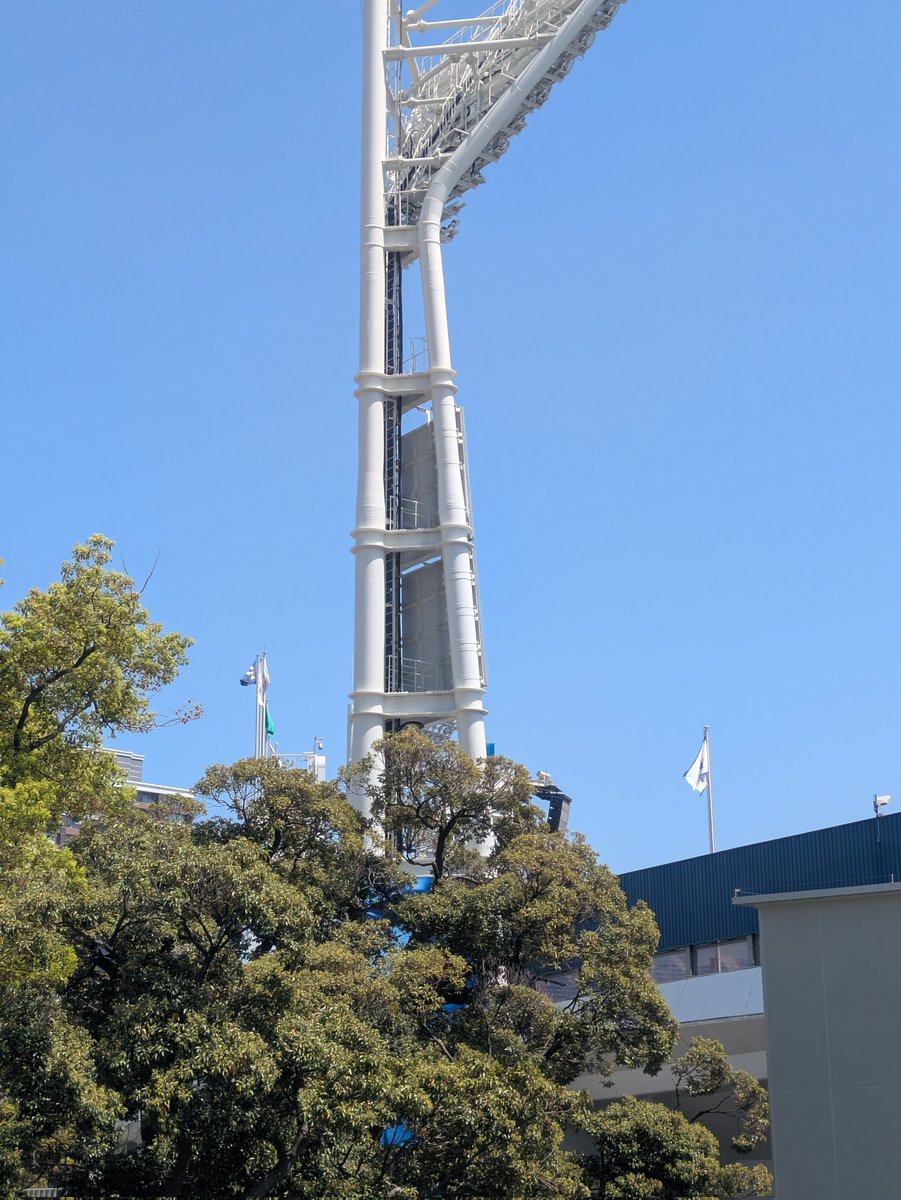 今日はやるらしい