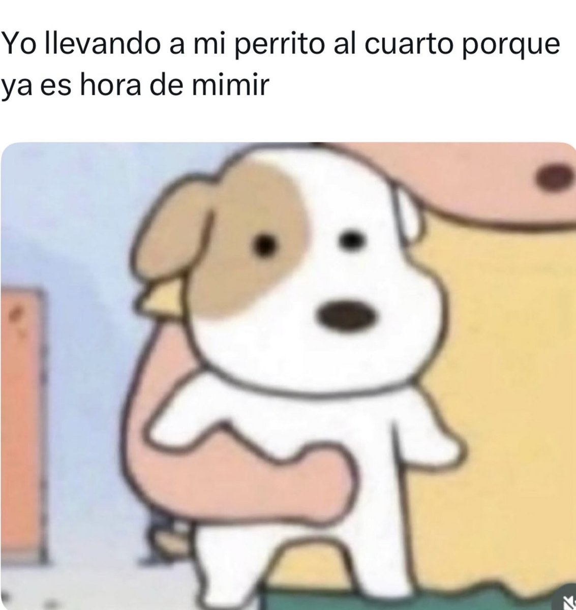 Mundo de Bigotes tweet media