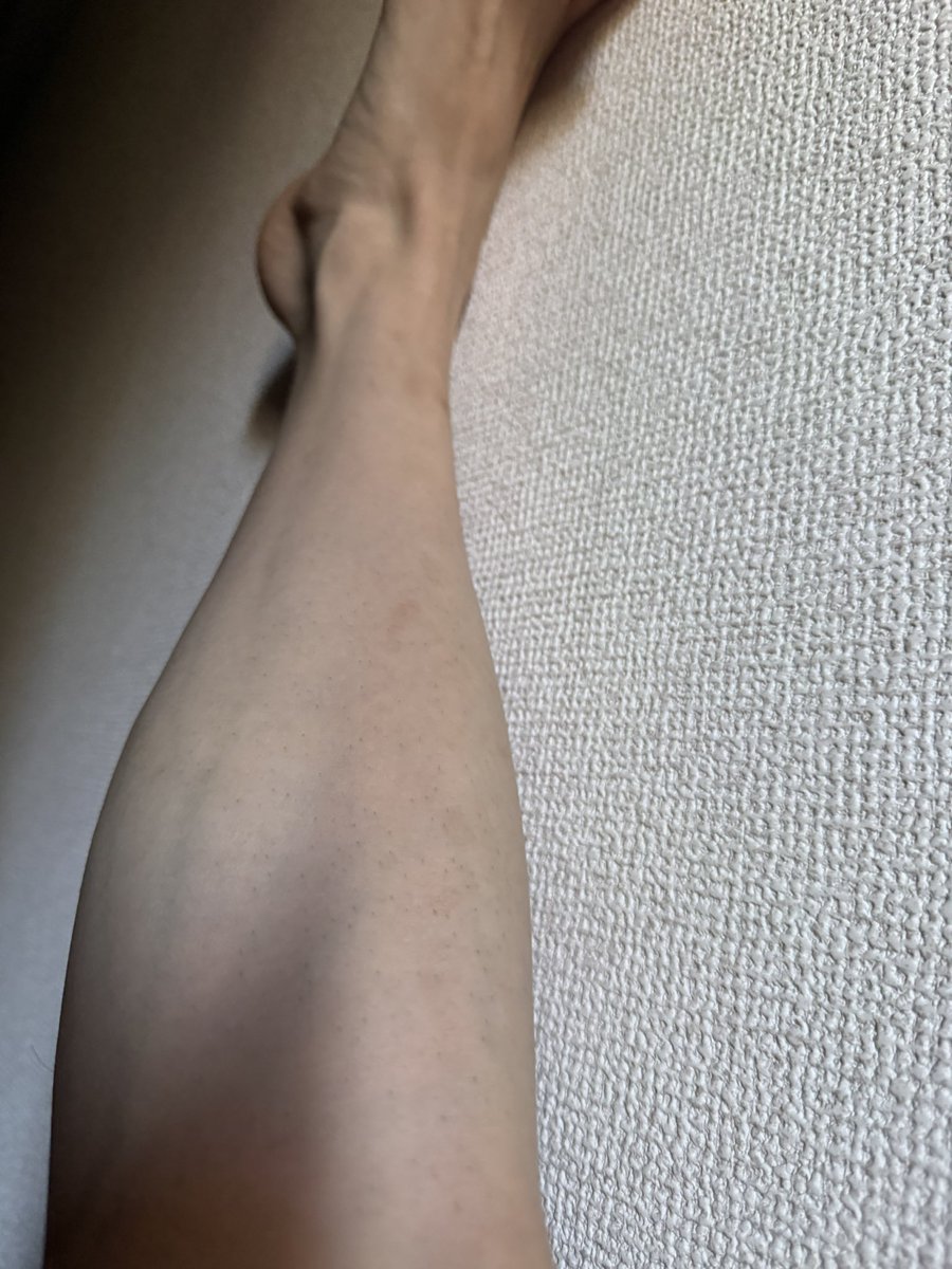 めるせさん tweet media