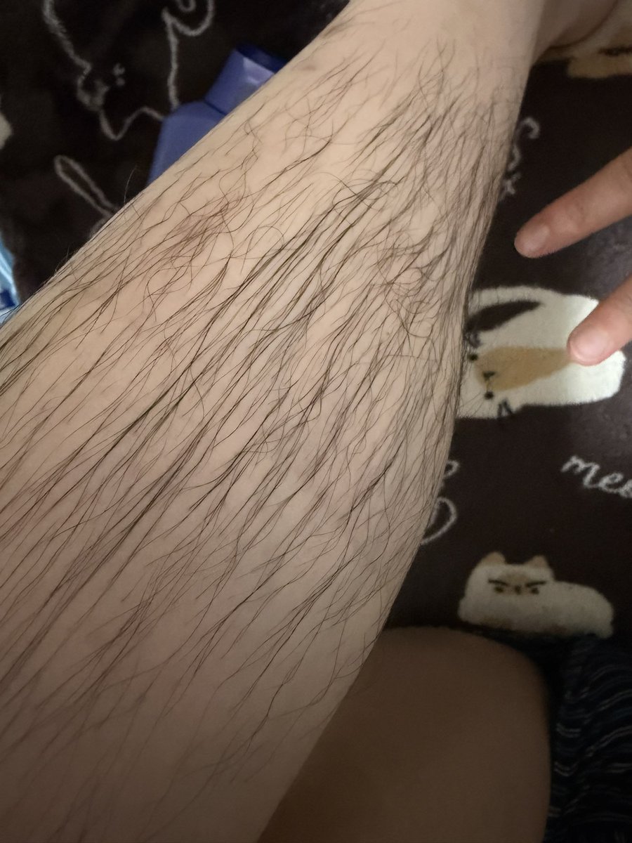 めるせさん tweet media