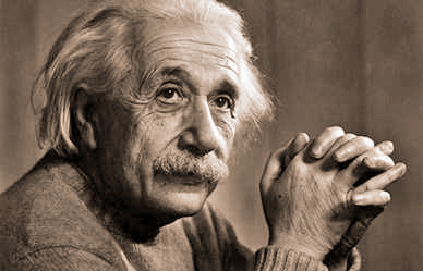 カジポン tweet media