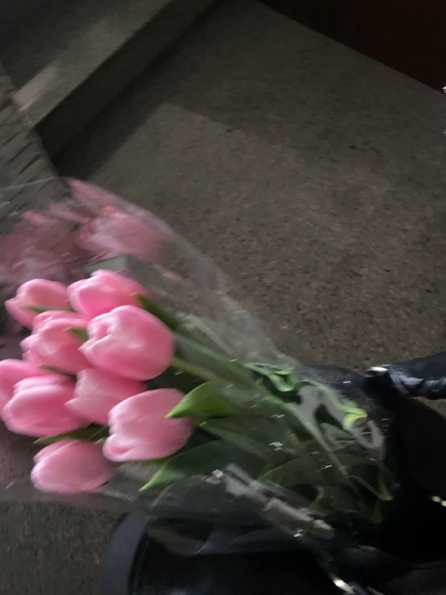 i3Moment's tweet photo. Pink Tulips 🌷 https://t.co/WqcKDxvc6k