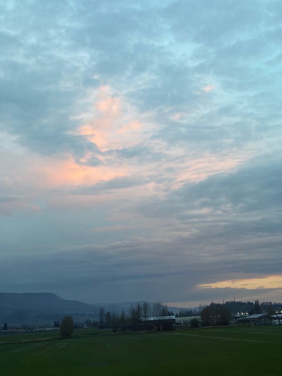 shia is RED | sevEN- 𐙚⋆.˚ tweet media