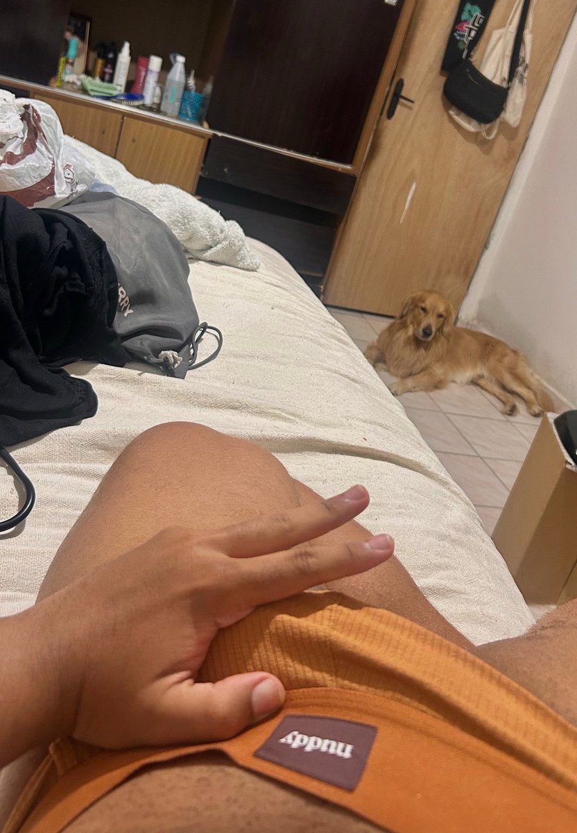 leonardo tweet media