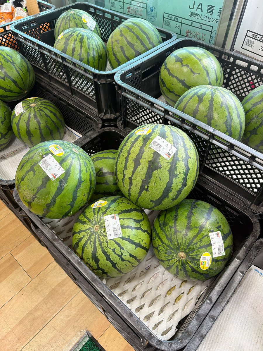 もうスイカ売ってるんですけどぉ？！