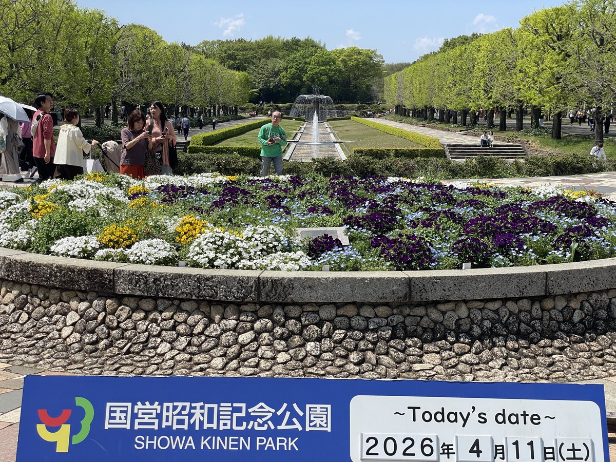 よーさん tweet media