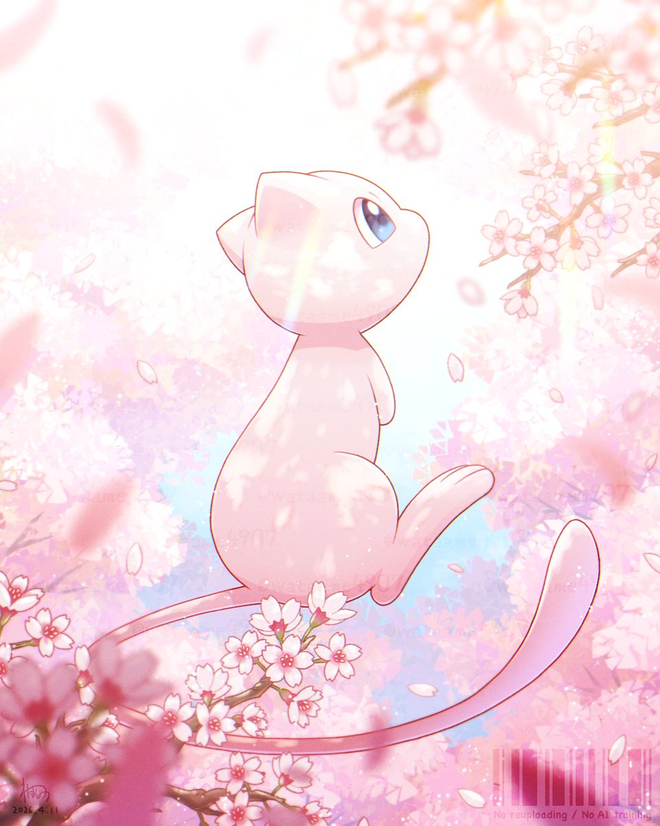 わたあめ tweet media