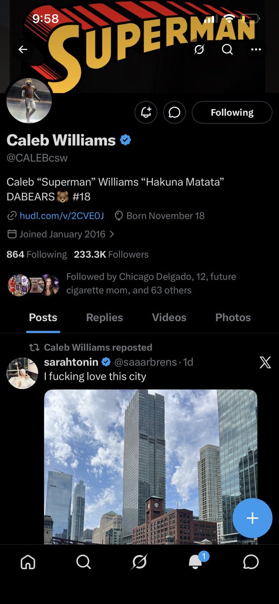 sarahtonin tweet media