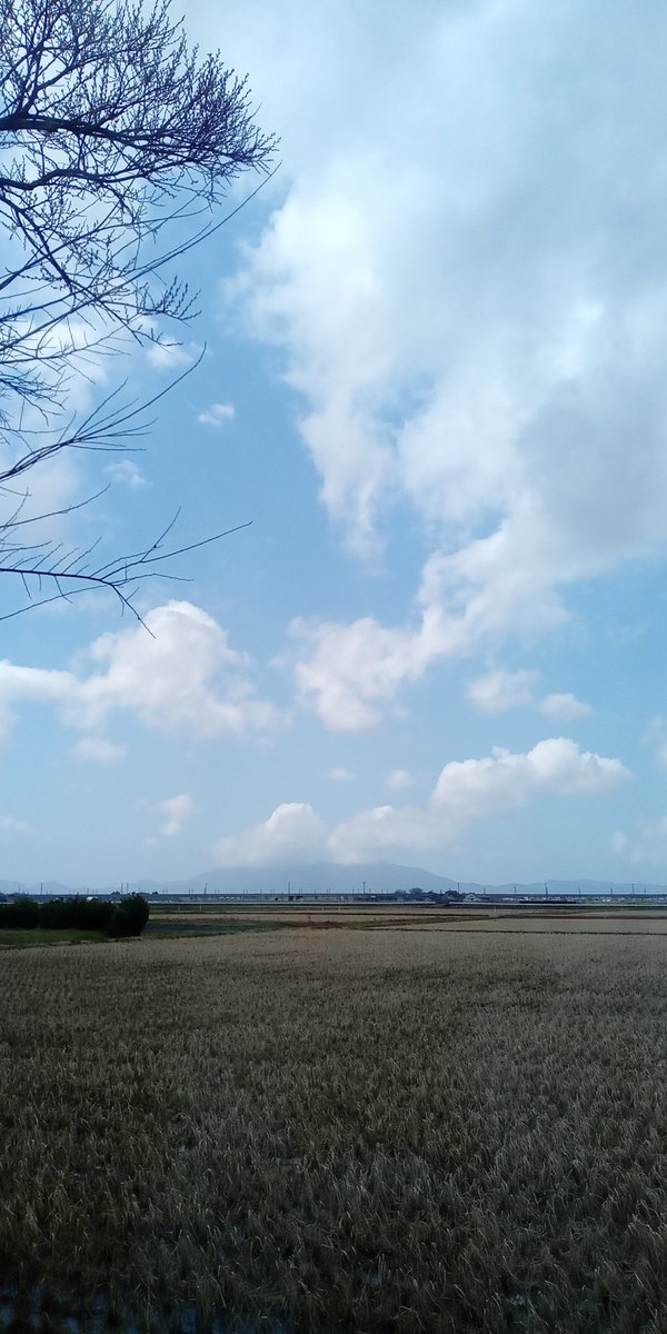 青空が出て来ました！
本日も元気に営業開始してまーす

トマトパスタはとっても丁寧に時間をかけてソースを作っています。火もたくさん使うけど、このソースが要なのです。