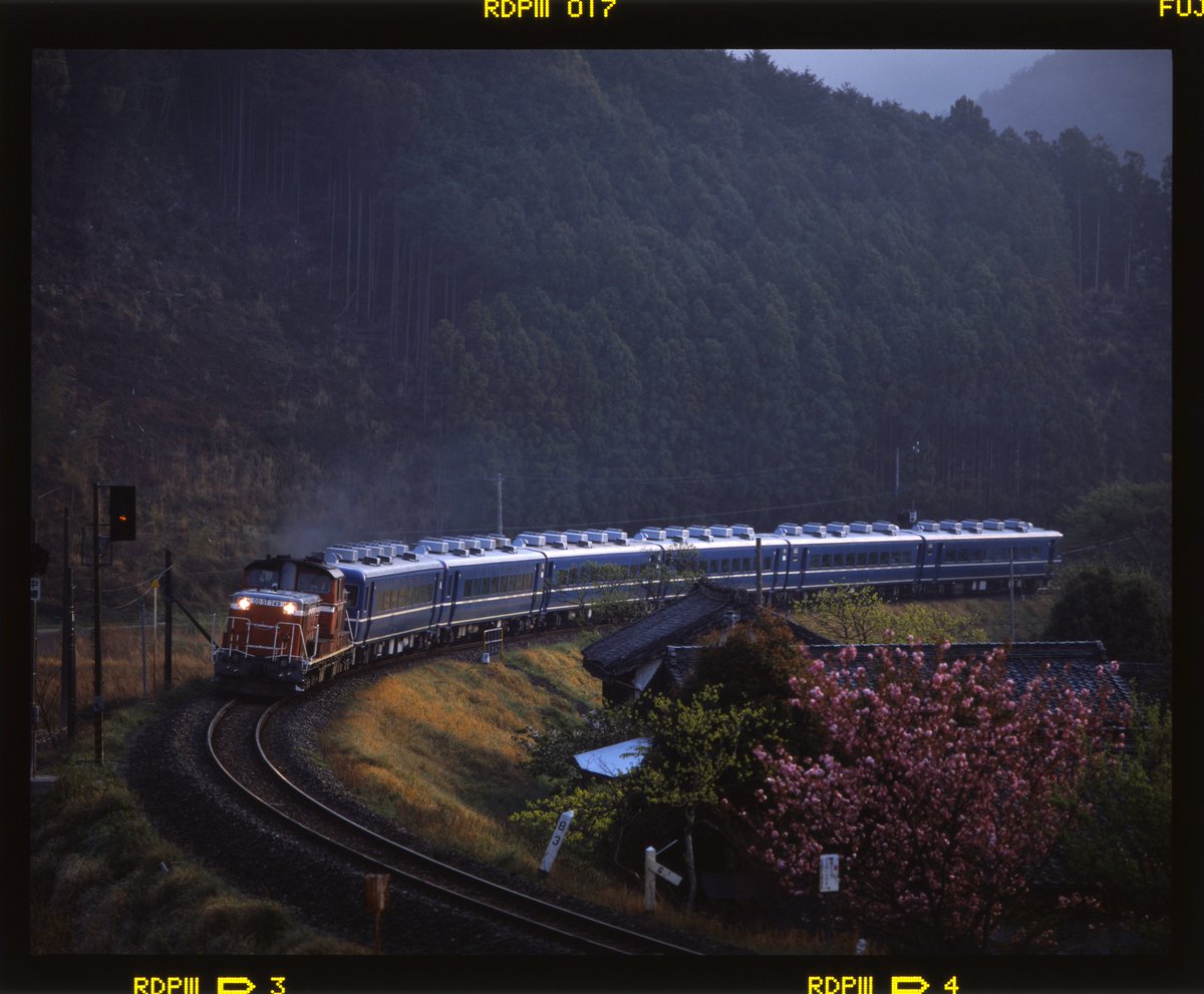 ggBetCH2up66784's tweet image. 八重桜
伊勢柏崎発車後の大カーブに咲いていた八重桜。この日は東海から14系、西線周りで西日本から12系と2本の団臨があった。

2002.4.13  DD51 749+14系x6  紀勢本線　伊勢柏崎～大内山
PENTAX67　300mm　RDPⅢ+1
#PENTAX67