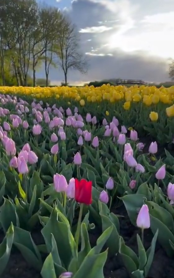 Deepak Kadakia🇮🇳ૐ tweet media