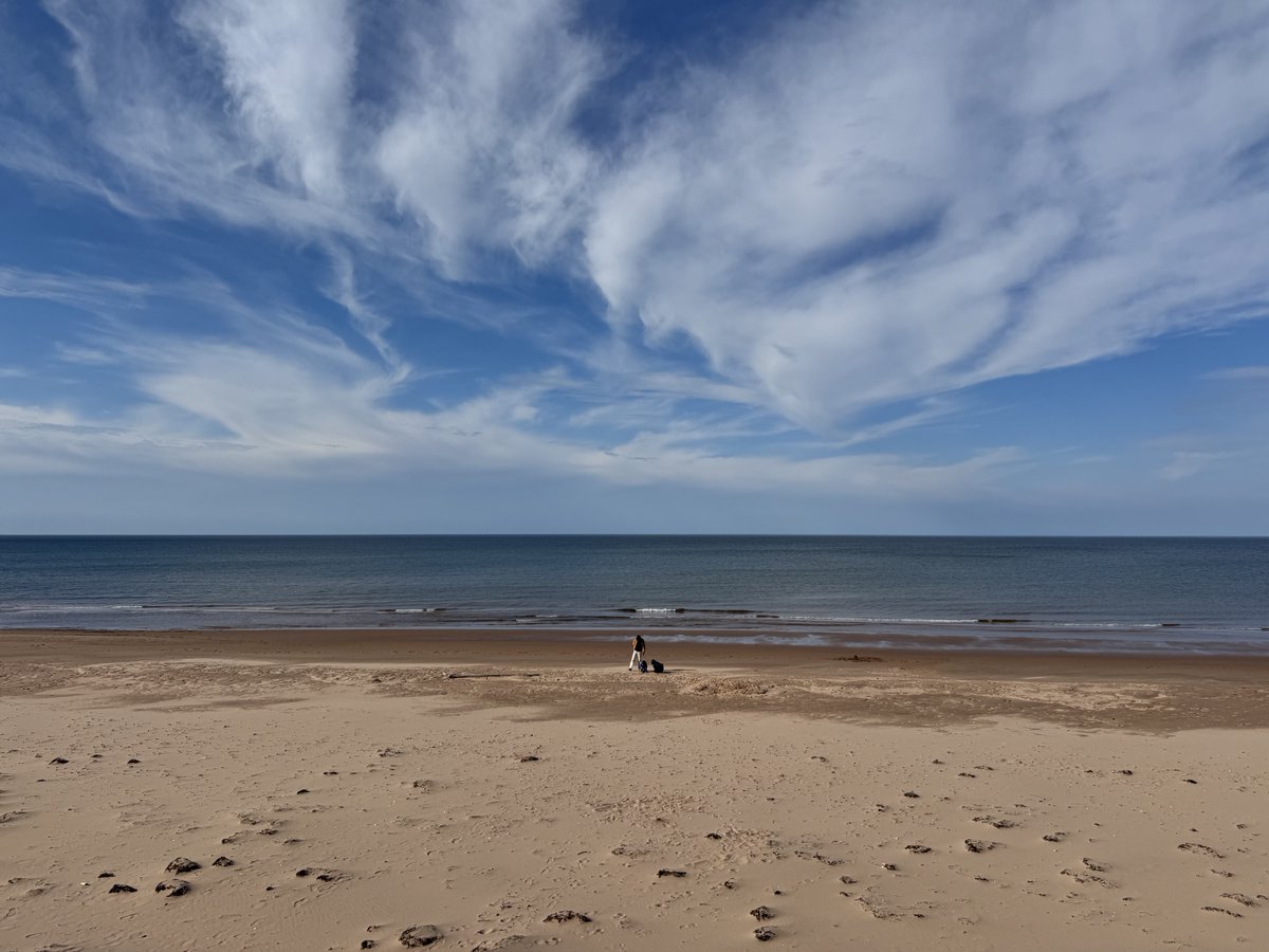 Adam Shao tweet media