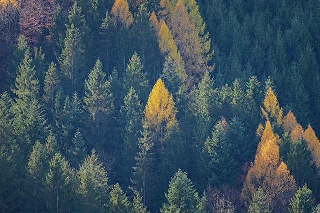 Jonathan Iskandar tweet media