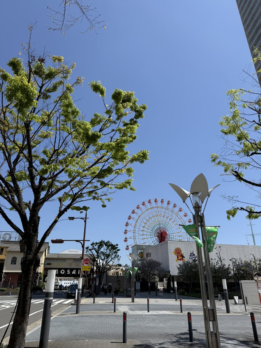 めり〜さんょ。 tweet media