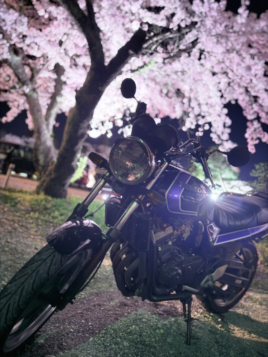 e52jade's tweet photo. とても素敵な写真を撮って頂きました🙇‍♂️ https://t.co/d2iCNiJTjF