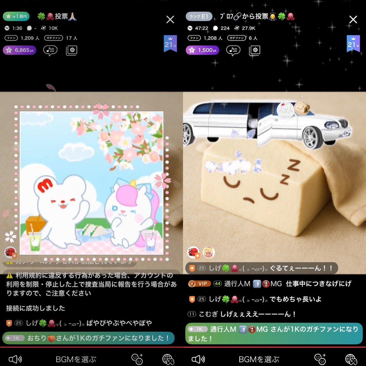 真っ白お豆腐 tweet media