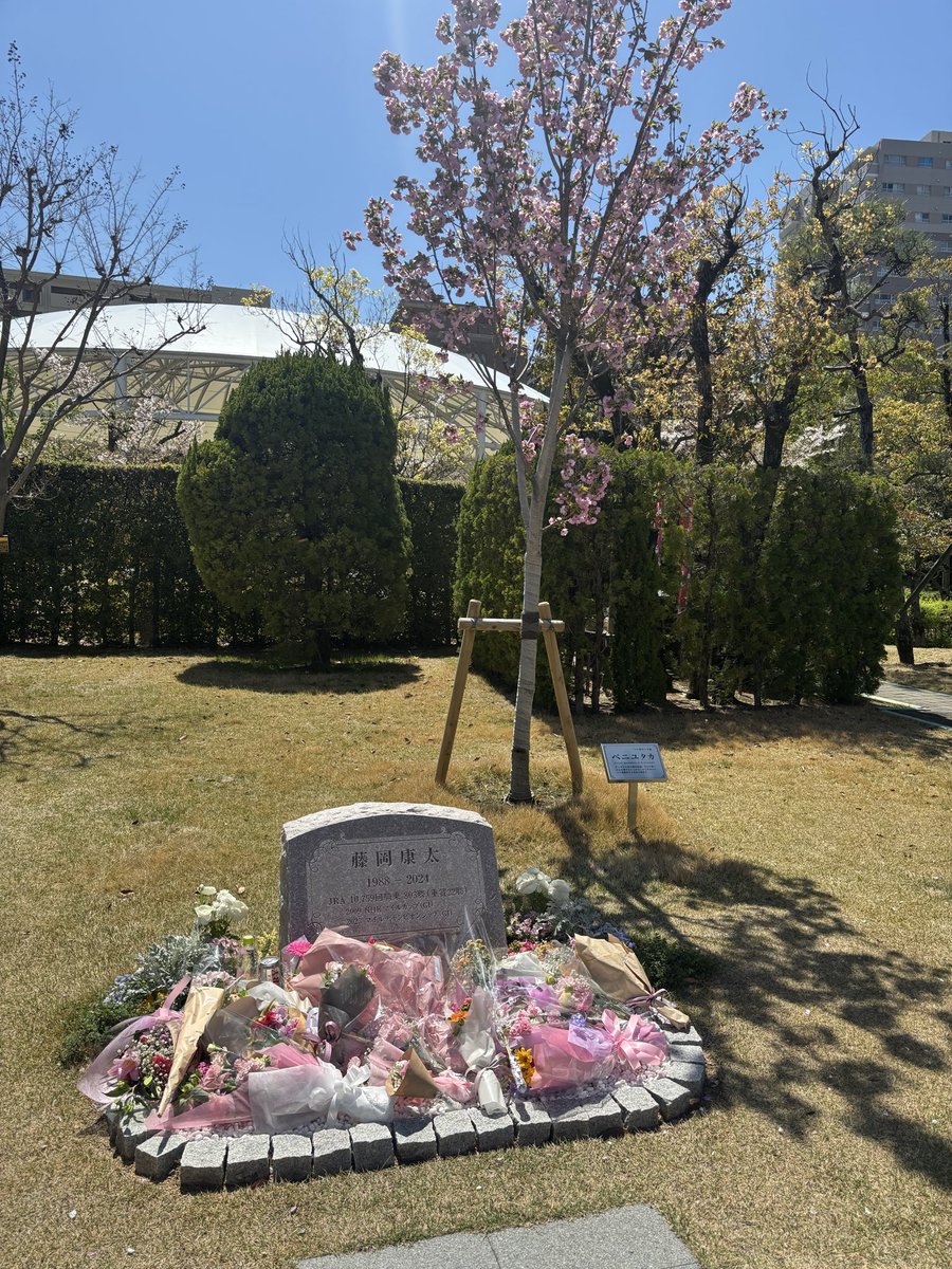 井上達也　デイリースポーツ(競馬) tweet media