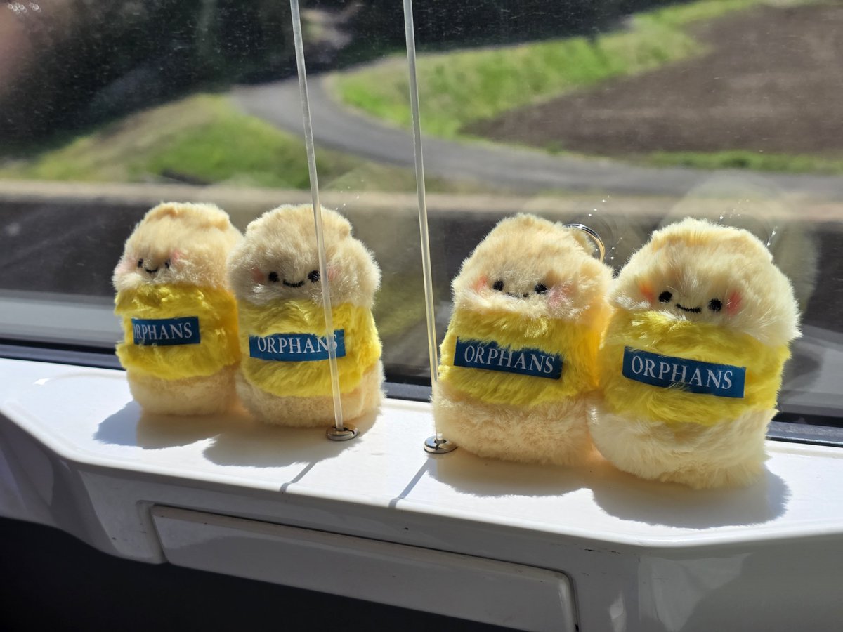 토릿🤦‍♀️ tweet media