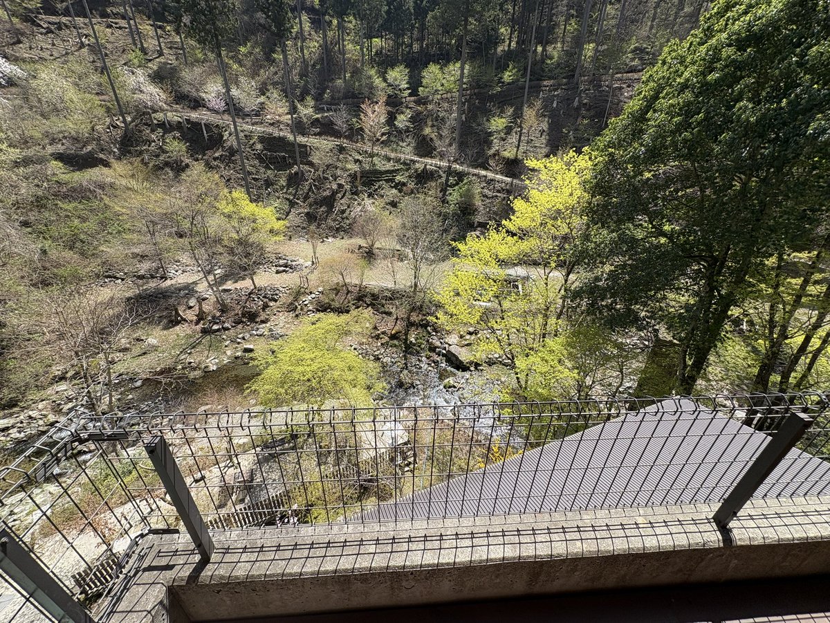 🇫🇷hiroyuki⭐️⭐️⭐️⭐️🌟🇫🇷 tweet media