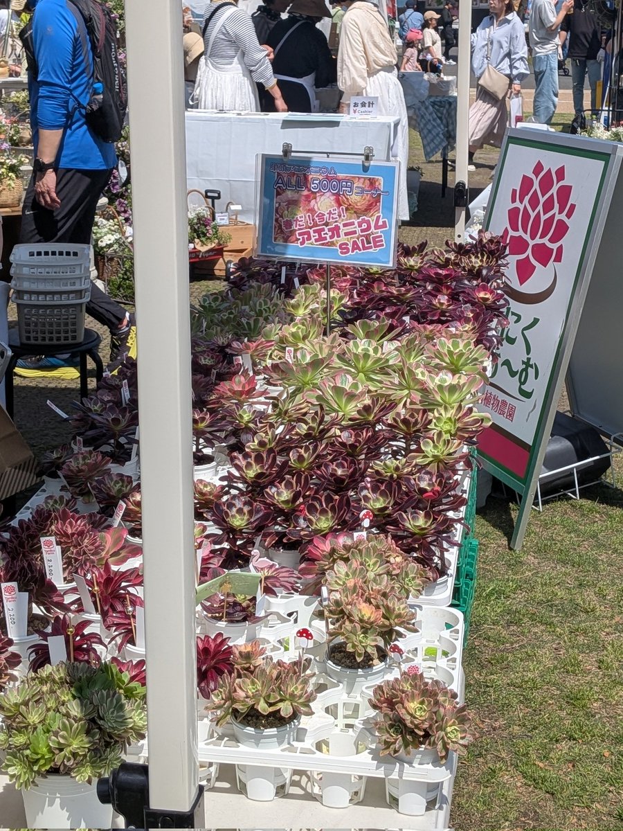 こんた tweet media