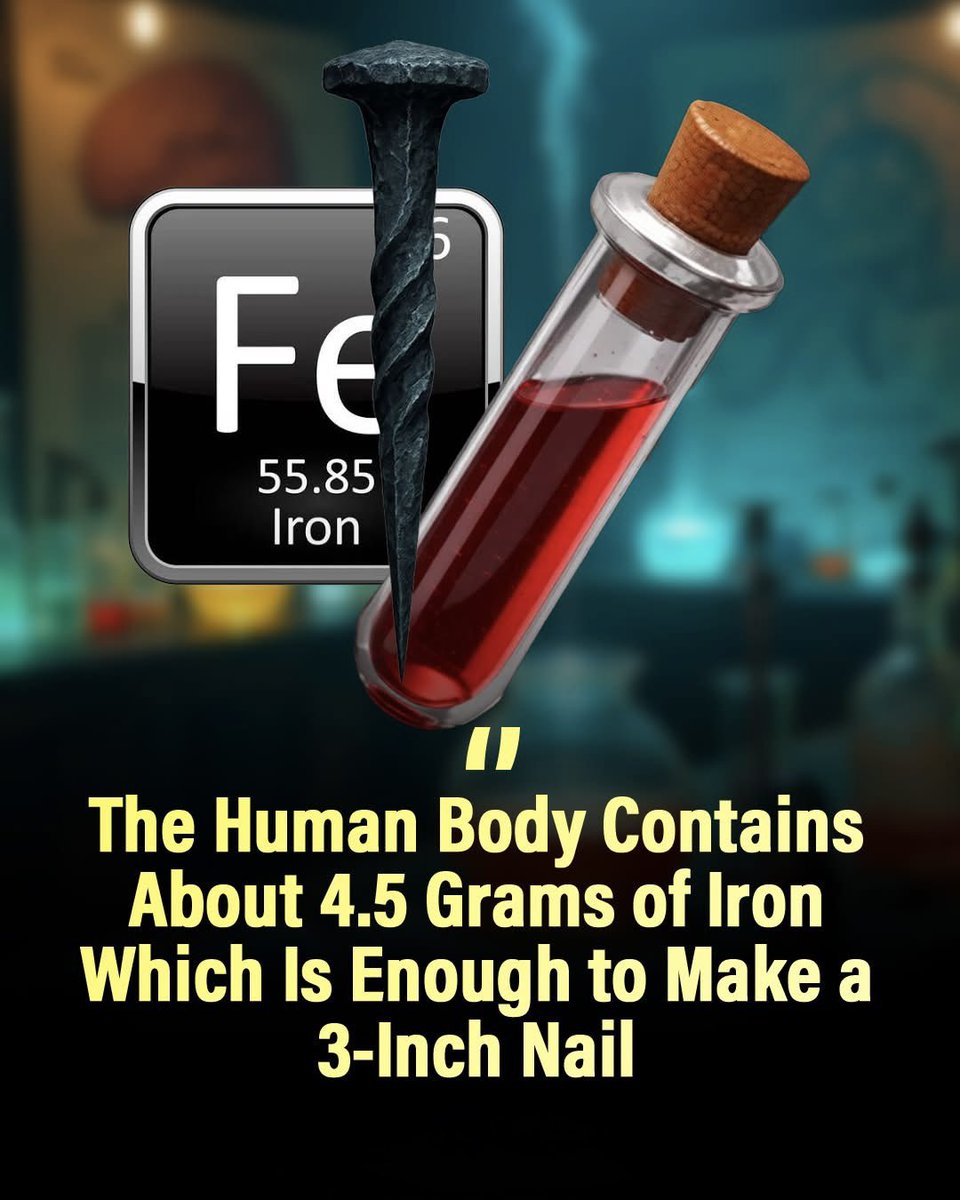 NextScience's tweet image. 🧲 THE SECRET METAL INSIDE YOU: Are You Carrying Enough Iron to Make a Nail?

What if we told you that your body holds a hidden piece of metal… strong enough to build something you might find in a toolbox?
Inside every human body, there is about 3 to 4.5 grams of iron quietly
