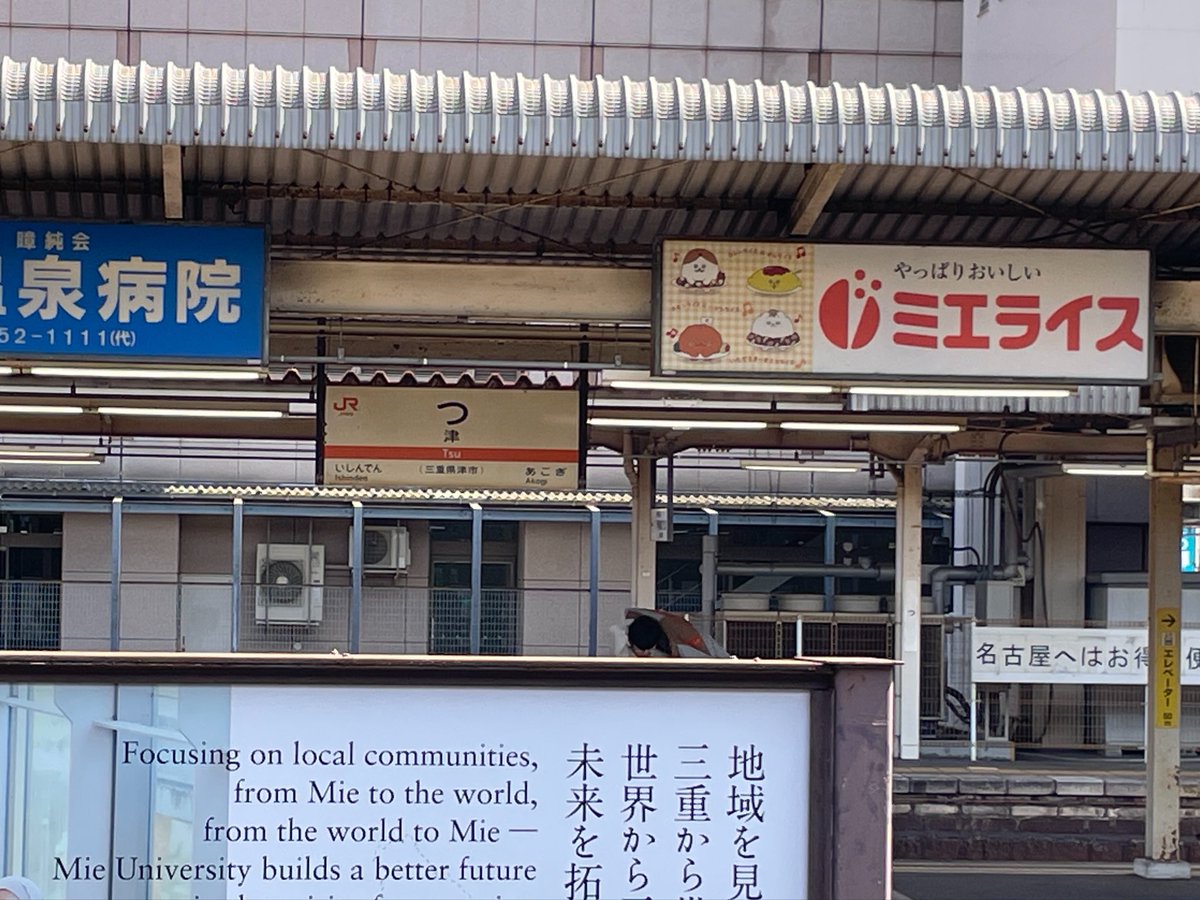 しげにゃん* tweet media