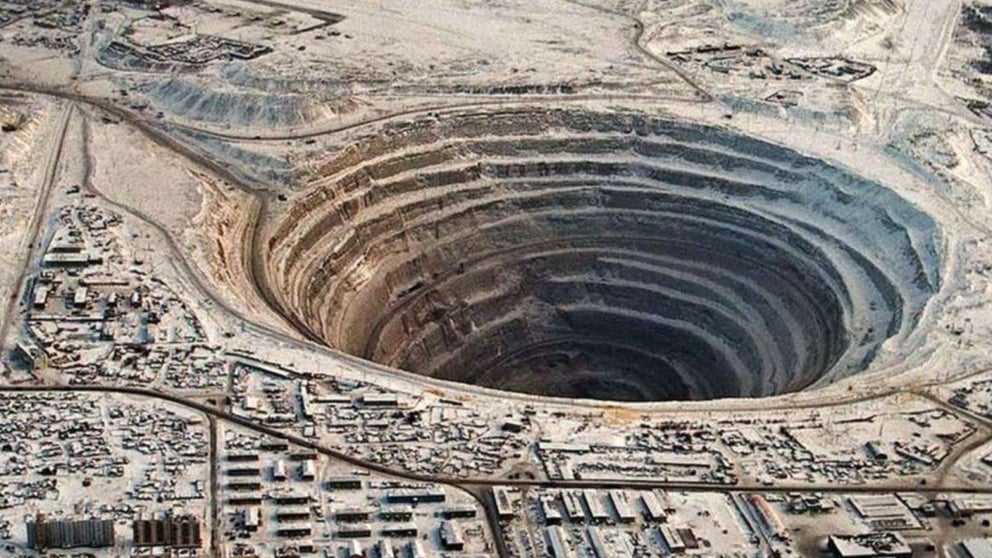 Elvis T. tweet media