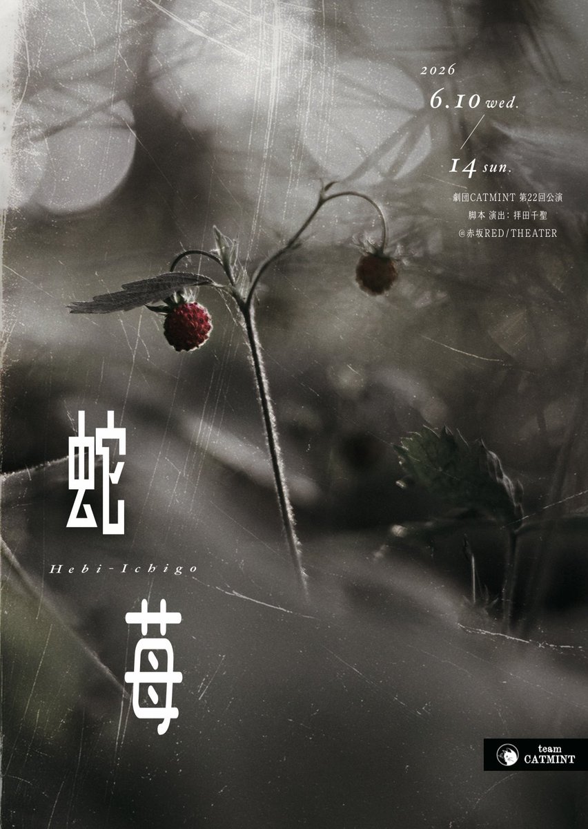 キャストコーポレーション/オフィス・メイ official tweet media