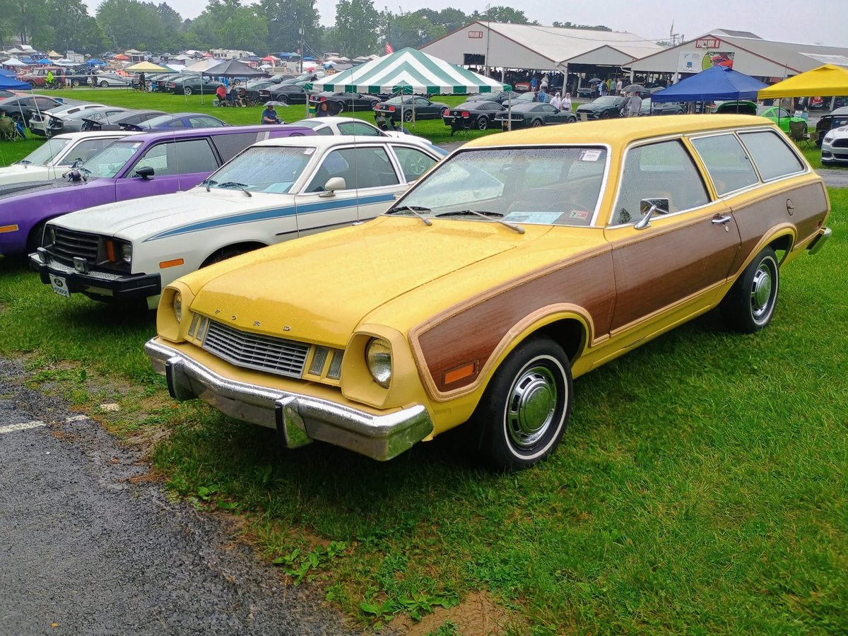 Taylor! 🦊🎀 🔜 Furg tweet media