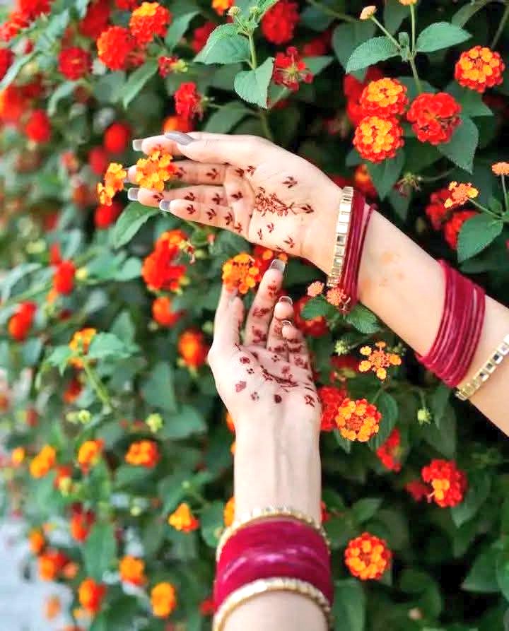 حسیب رحمان tweet media