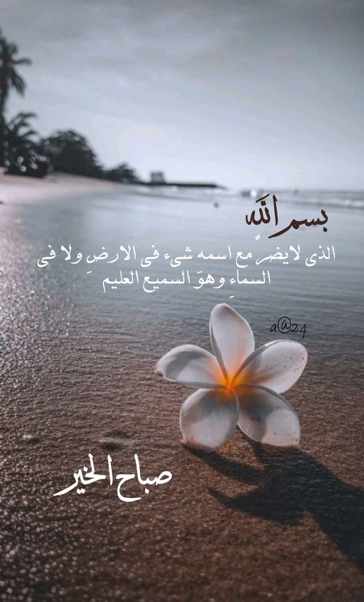 ∞ الـ 𓃭عـنود 🇸🇦 tweet media