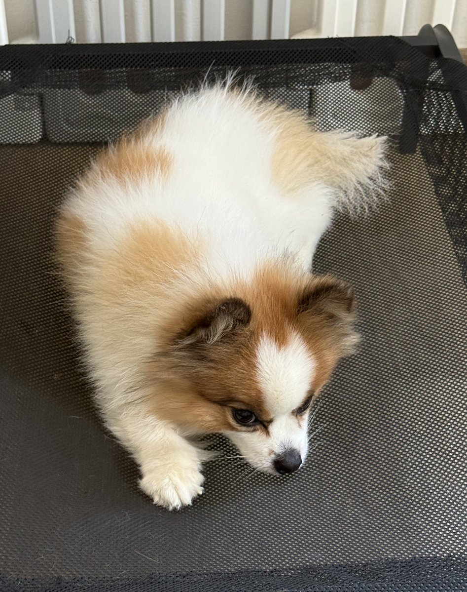 DNVP 💋 (Malonfamily) tweet media