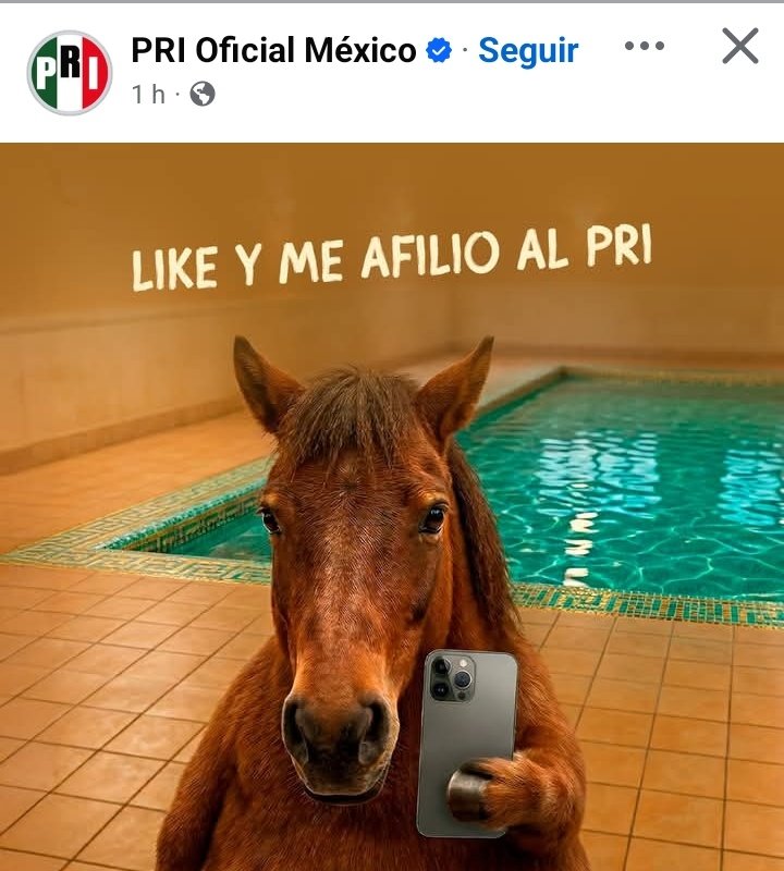 Freddy Oliviery tweet media