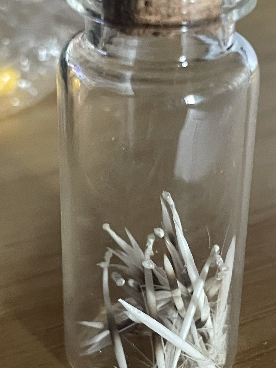 コシヤッタがとー tweet media