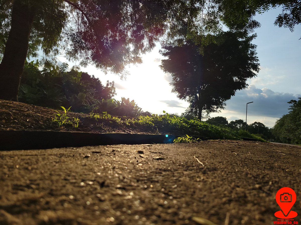Adam50_50's tweet photo. Beauty of Nature 😍
Perspective is everything,  finding magic in every mile 🚶‍♂️👣 

Inside ABU Campus 
#NaturePhotography #abuzaria #abusites #samsungphotography #landscape https://t.co/LsKTmjZO2W