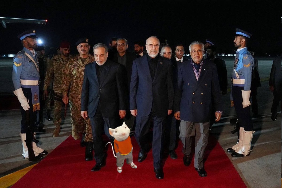 ۗۗۗۗۗۗۗۗۗۗۗۗۗۗۗۗۗۗۗۗۗۗۗۗۗۗۗۗۗۗۗۗۗۗۗۗStuartLittle🐁 tweet media