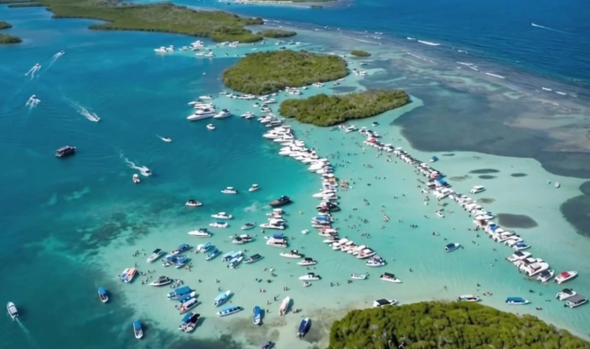 tucacasdigital's tweet photo. Si las medidas de los Juanes ayudan a preservar el orden y la calma, tal vez son justo lo que necesitábamos. Ojalá se mantengan más allá de esta Semana Santa en el Parque Nacional Morrocoy 🙏🇻🇪 https://t.co/cmsfRgYwQE