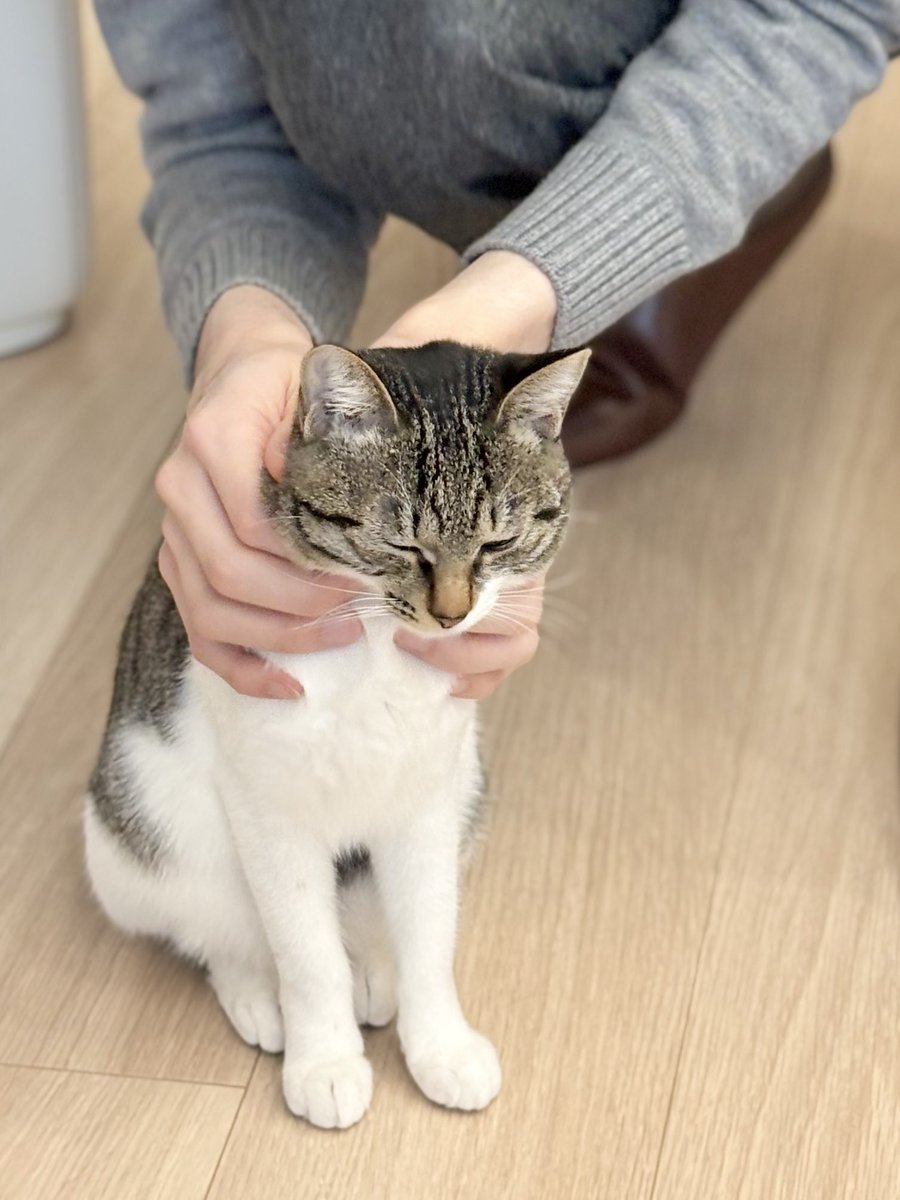 つゆちゃん tweet media