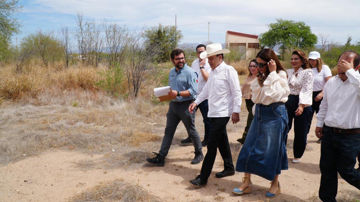 IMSS Bienestar tweet media