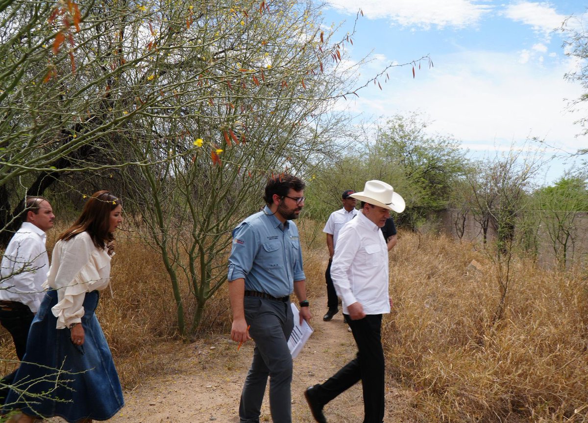 IMSS Bienestar tweet media