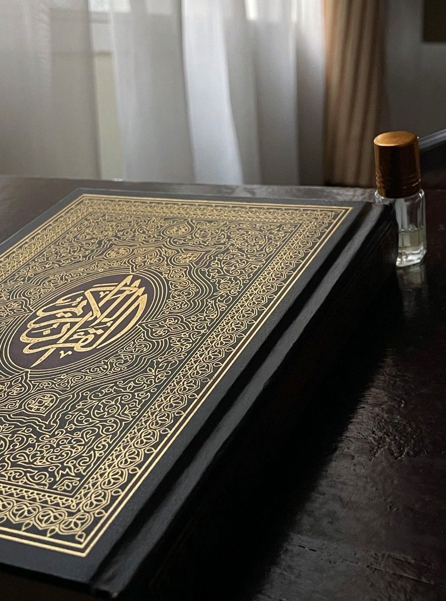 ضي ا لشمري .. tweet media