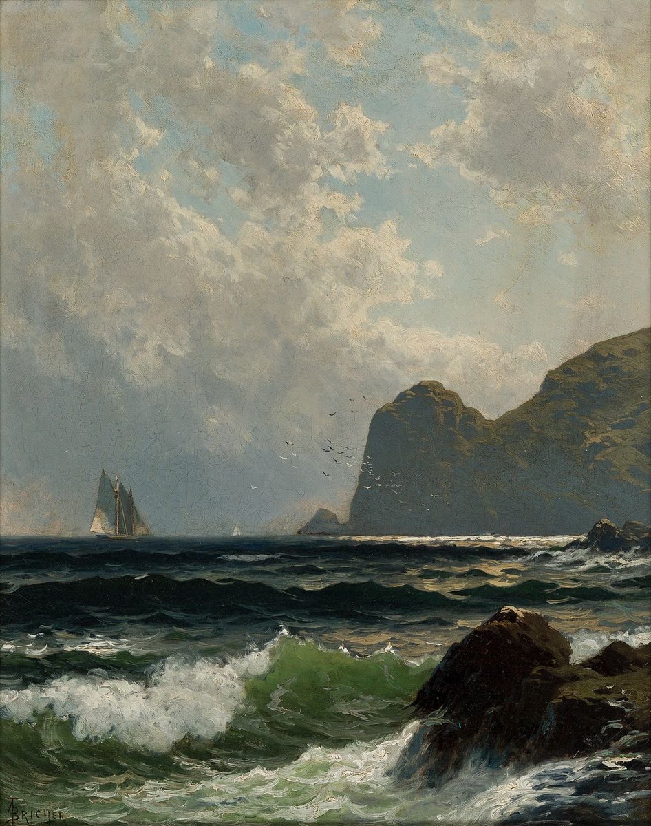 Leander ⚓️ tweet media