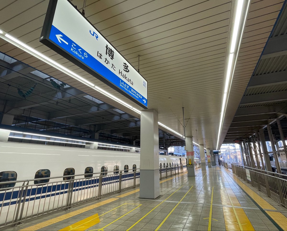 しげにゃん* tweet media