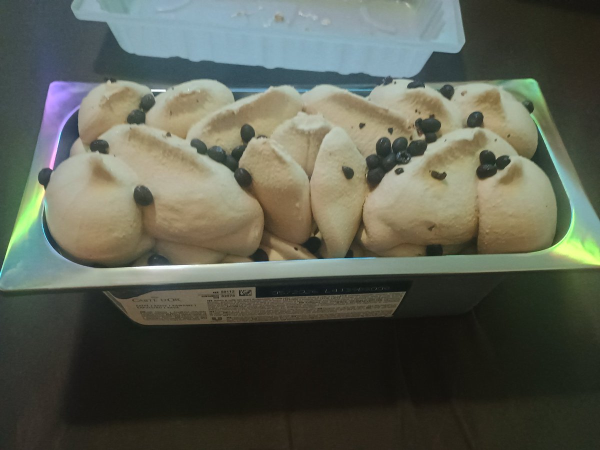 Pudgy Kitten tweet media