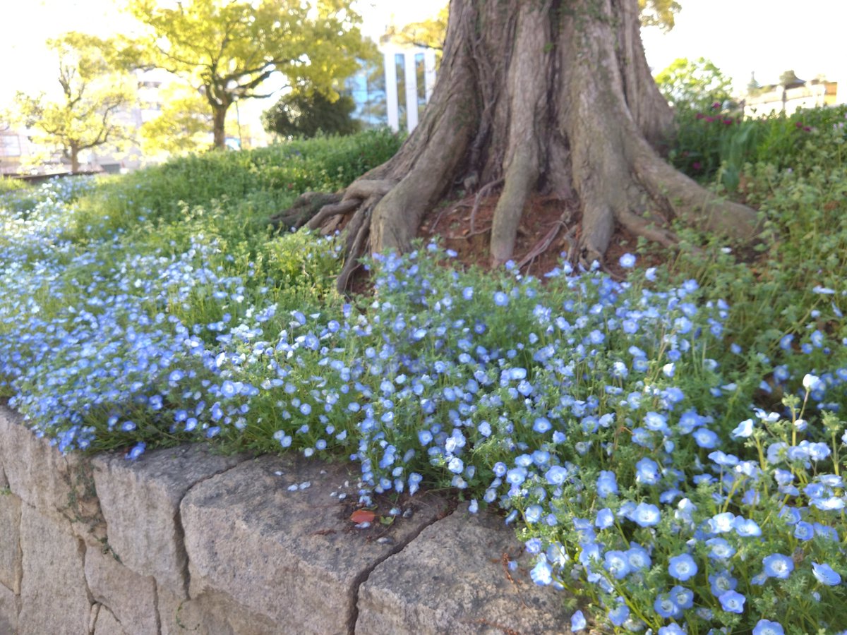 ちさと tweet media