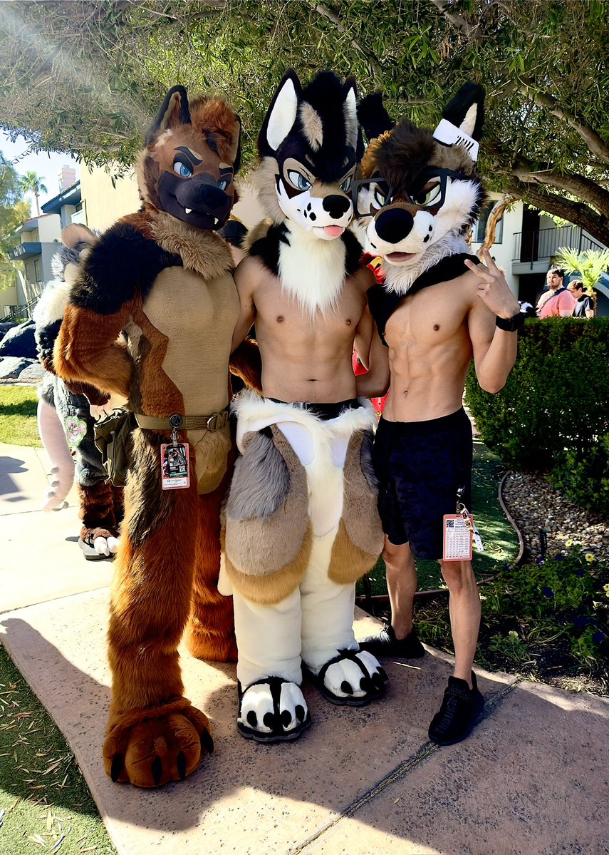 芒果 • Mango 🥭 tweet media