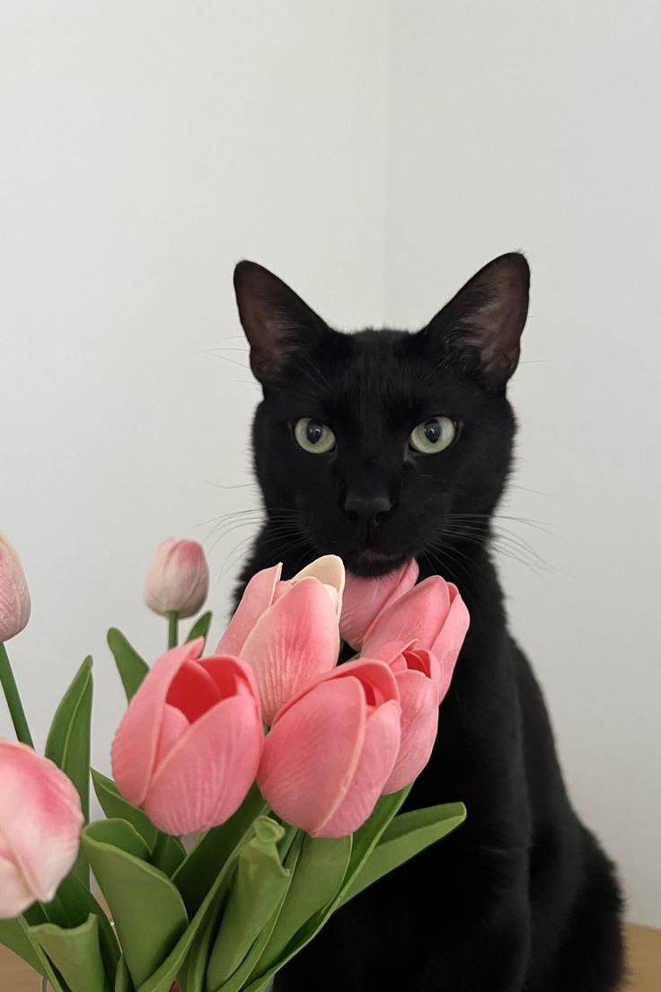 𝑝𝑢𝑟𝑒 tweet media